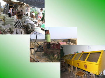 我国食用菌菌种管理技术解析与进出口实务探讨