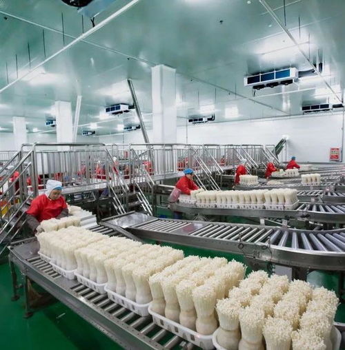 出圈！邹城蘑菇如何凭实力掌控食用菌种进出口话语权
