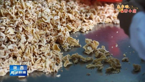 庆丰收 迎小康 商洛食用菌成为农业发展主力军——探析品种进出口新路径
