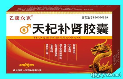 补肾产品招商代理与常见补肾药物概览