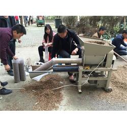 食用菌菌种产业与贸易全景解析 从设备技术到国际流通