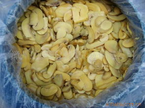 漳州顺荣进出口贸易 打造食用菌全产业链的国际桥梁