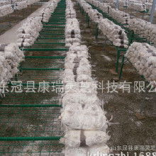 食用菌菌种产业链探析 加工价格、批发市场、厂家与进出口贸易