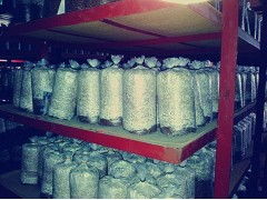 食用菌菌种进出口 产业发展的关键环节与规范管理