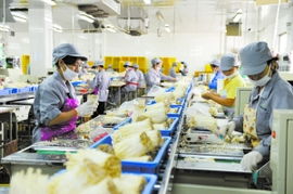 通州借势打造食用菌产业带，构筑菌种进出口新高地